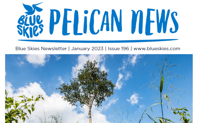 Download our January Newsletter