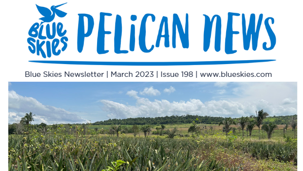 Download our March Newsletter