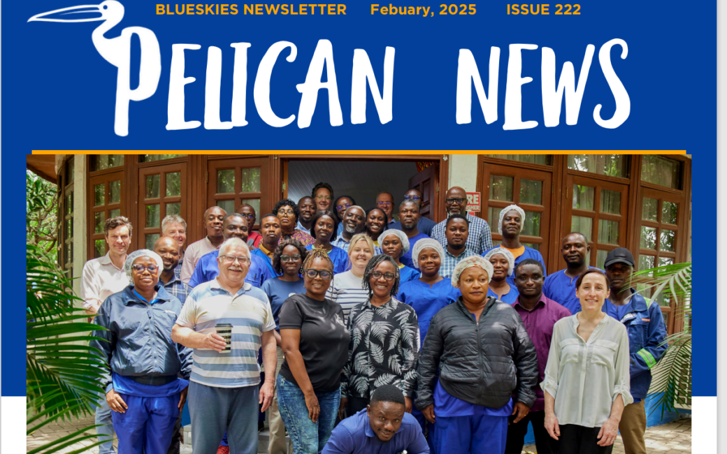 Download our February Newsletter