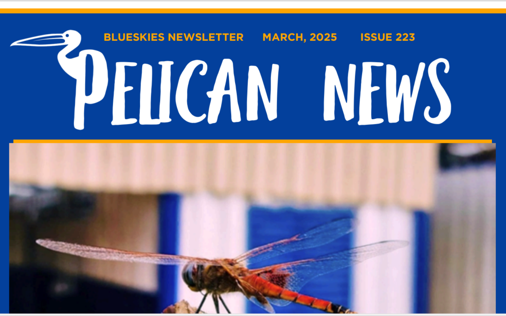 Download our March Newsletter