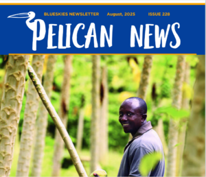 Download our August Newsletter