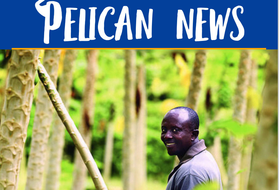 Download our August Newsletter