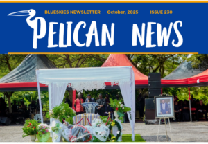 Download our October Newsletter