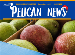 Download our December Newsletter