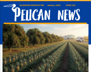 Download our January Newsletter